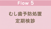 むし歯予防処置・定期検診